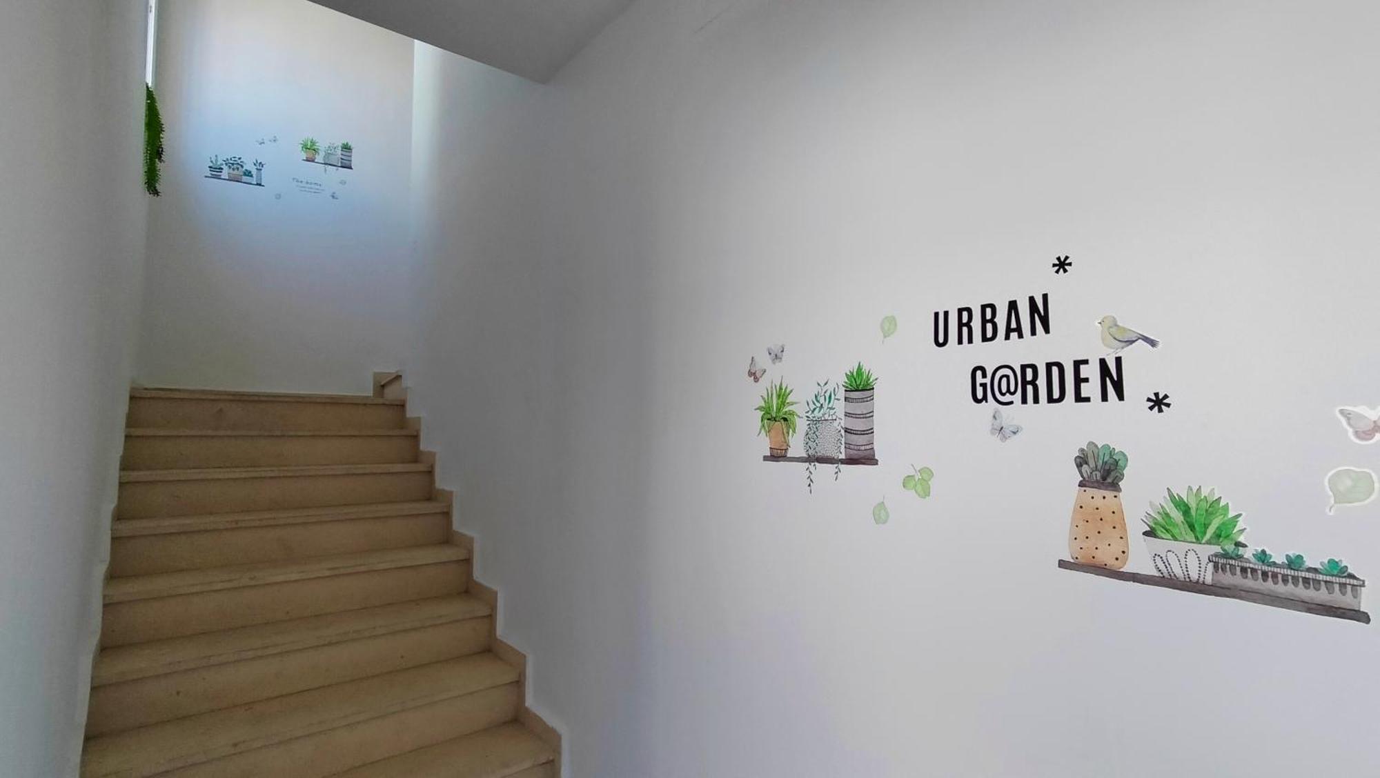 Urban Garden D